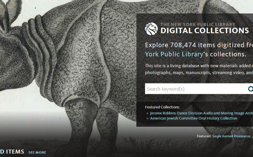 Нью-Йоркская публичная библиотека (New York Public Library)